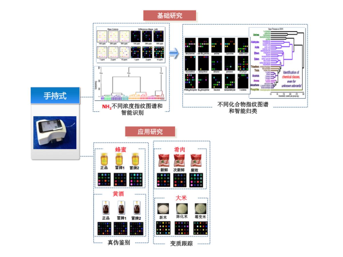 农产品内在指标的可视化无损检测