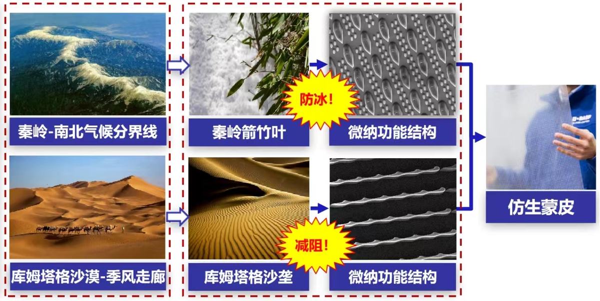 仿生微纳结构防冰减阻蒙皮